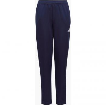 Adidas Performance Trainingshose ENT22 TR PNT Y (1-tlg)