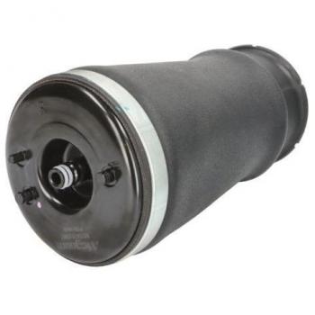 MZB011MT Air Suspension Spring