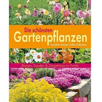 Die schönsten Gartenpflanzen: Blumen, Stauden & Ziergehölze im Porträt