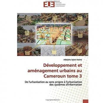 Développement et aménagement urbains au Cameroun tome 3: De l'urbanisation au sens propre à l'urbanisation des systèmes d'information