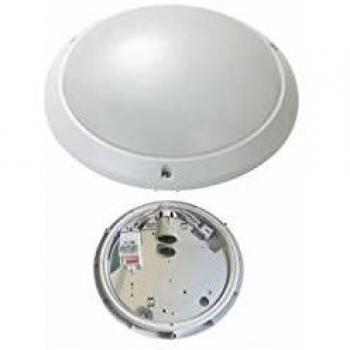 Fox Light 240V Angle 120°