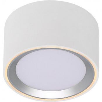 Dimmable LED Downlight Fallon Brushed Steel 2700K