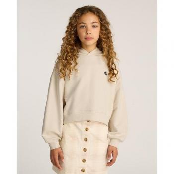 Felpa con Cappuccio Calvin Klein Logo Stampa Turtledove 14 Anni