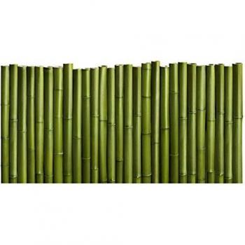 Sticker Tête de Lit BAMBOU, Polyester, Vert, 160 x 0.1 x 60 cm