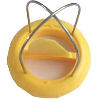 Mini Kiwi Slicer and Peeler Kitchen Gadget