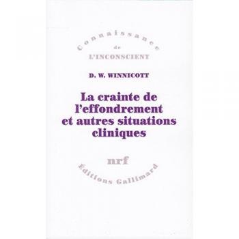 La crainte de l'effondrement et autres situations cliniques (Connais. Inconscient)