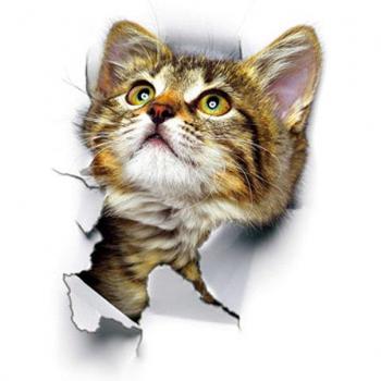 Vivid Cat Mural Stickers for Home