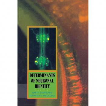 Vitalsource Technologies, Inc. Determinants Of Neuronal Identity
