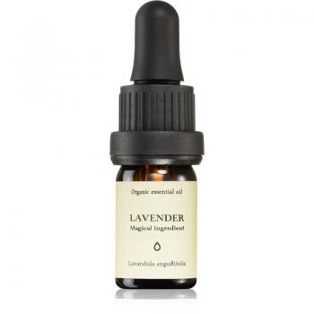 Lavanda em Óleo Essencial Smells Like Spells 5 ml