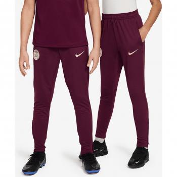 Nike Paris Saint Germain Youth Dri-FIT Strike Pants 2024-2025