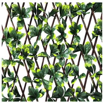 200 cm x 100 cm Bayberry Trellis Privacy Screen, Green – Ark Mat