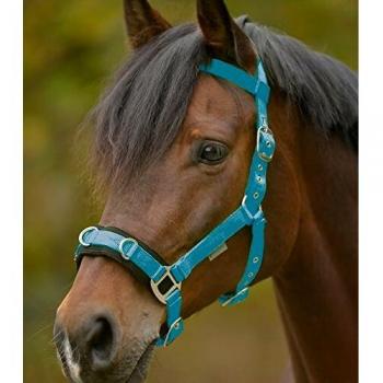 Azure Blue Nylon by Waldhausen Cavesson