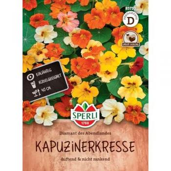 Blumensamen Kapuzinerkresse 'Abendstern'