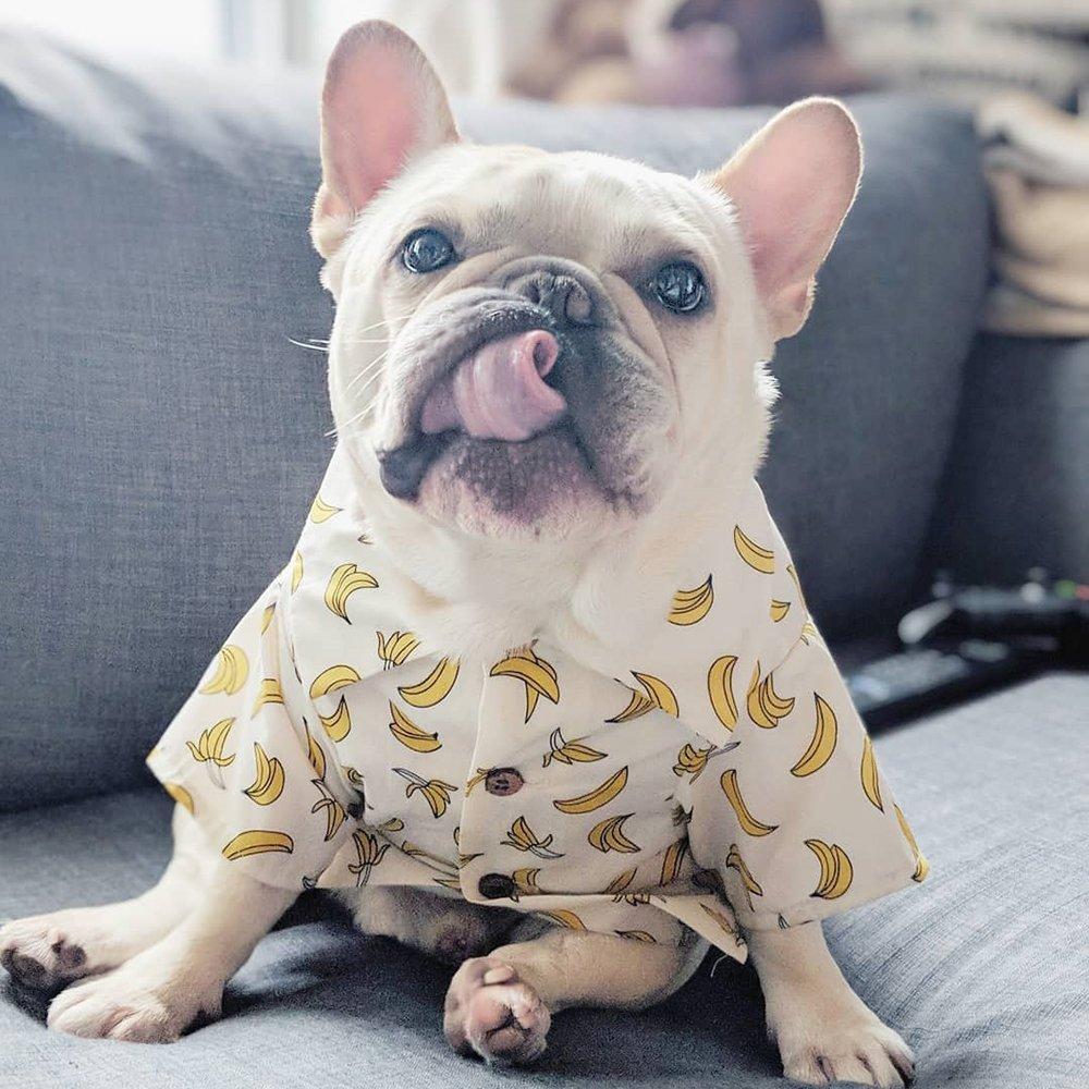 #