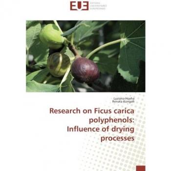 Hoxha, Luziana: Research on Ficus carica polyphenols: Influence of drying processes