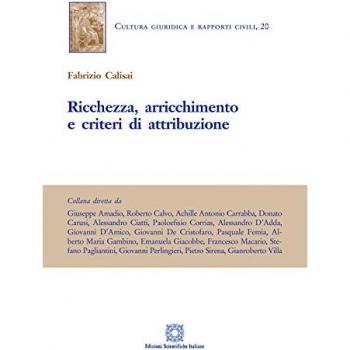 Ricchezza Arricchimento E Criteri Di Attribuzione