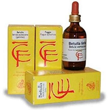 Tónico de Linfa de Betula Verrucosa 100 mL
