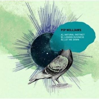 Pip Williams Natural Instinct #4 2010 UK 12 picture disc TOAD001