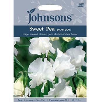 Swan Lake White Sweet Peas – Johnsons 19346 Seed Bundle