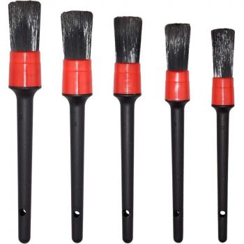 Set van 5 Auto Detaillering Borstels met Zwijnenhaar