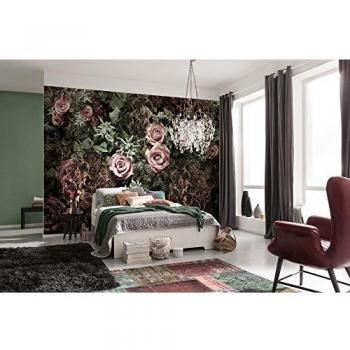 Papier Peint Fotomural Velvet 368x254cm avec Colle incluse