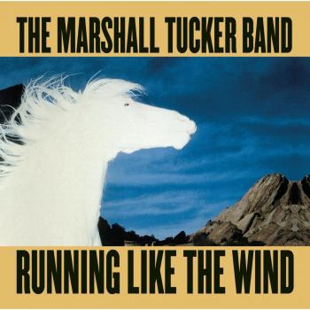 Running like the wind