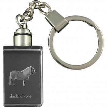 Shetland Pony