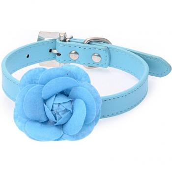 Pet Fashion: Collar Morado y Rojo con Encanto Floral