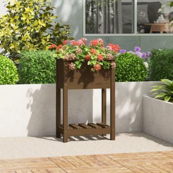 Jardinera en bois massif de pin avec étagère 54x34,5x81 cm couleur miel