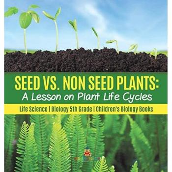 Baby: Seed vs. Non Seed Plants