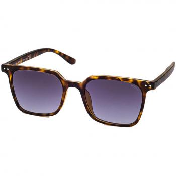 Óculos de Sol Tortoiseshell Saraghina ENEA 26ELA4 para Ele