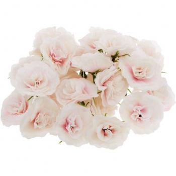 Bouquets de Roses Soie – 50 Têtes, Idéal Mariage & Fête