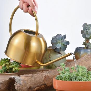 Regadera y Maceta para Riego de Bonsáis, Capacidad 1.5 L