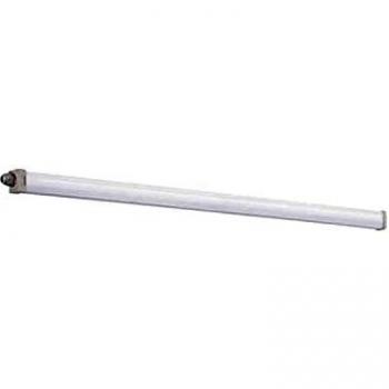 Kanlux 27115 TP SLIM LED 40W-NW Wandleuchte
