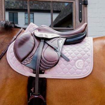Mantilla para caballos Kentucky Onion acolchada