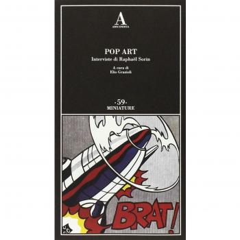 Pop art. Interviste di Raphaël Sorin. Ediz. illustrata
