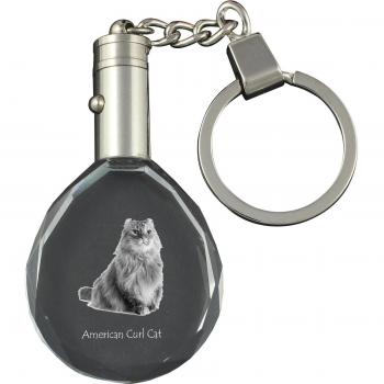 Transparent American Curl Cat Gift Fob