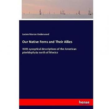 Our Native Ferns and Their Allies: With synoptical descriptions of the American pteridophyta north of Mexico