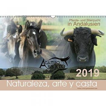 A CAMPO ABIERTO: Pferde