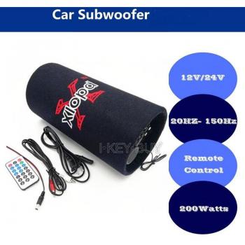 12V/220V Portable Car Subwoofer Speaker with FM Radio