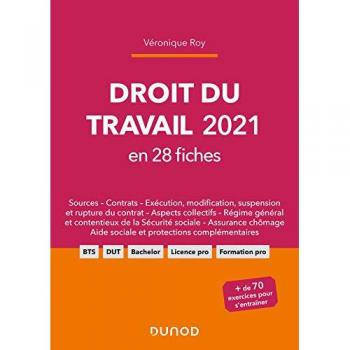 Droit Du Travail 2021 En 28 Fiches (2021)