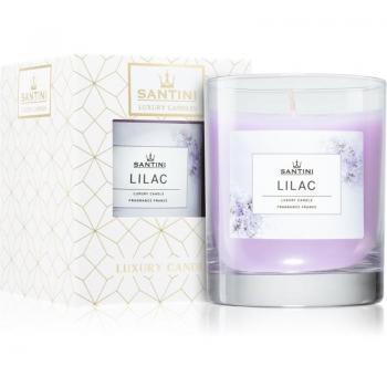SANTINI Vela Perfumada de Lavanda 200 g