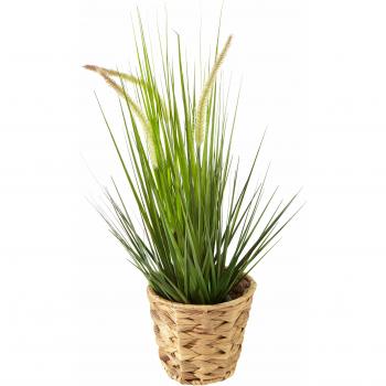 Kunstpflanze Gras Fuchsschwanzgras, Höhe 52 cm, I.GE.A