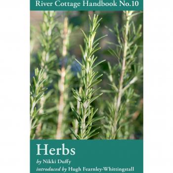 River Cottage Handbook No. 10 Herbs by Nikki Duffy