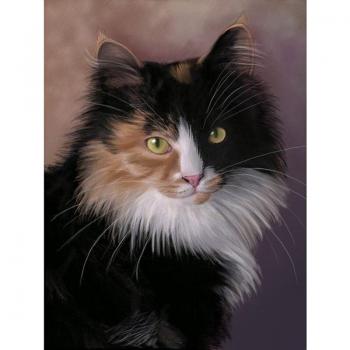 Gato Blanco y Negro 5D Pintura de Diamantes Completa 20X30CM