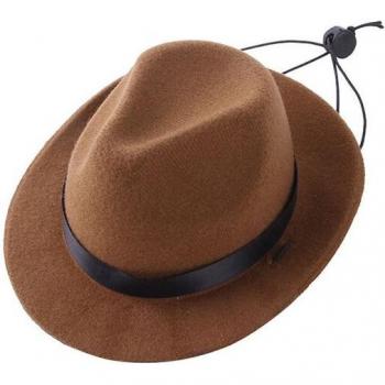 Dress Up Hat for Pets