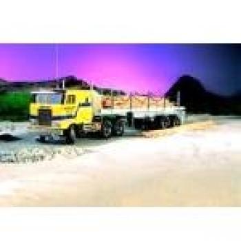 Kit di Montaggio Tamiya 1/14 Camion Globe Liner 6x4