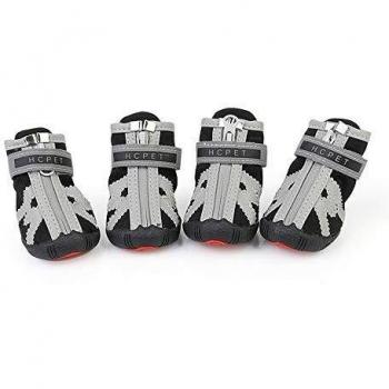 Chaussons Étincelants Dog