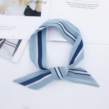 Luxury Women's Silk Scarf