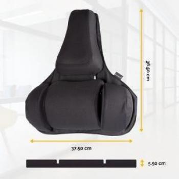 Fellowes Ergonomic Back Support